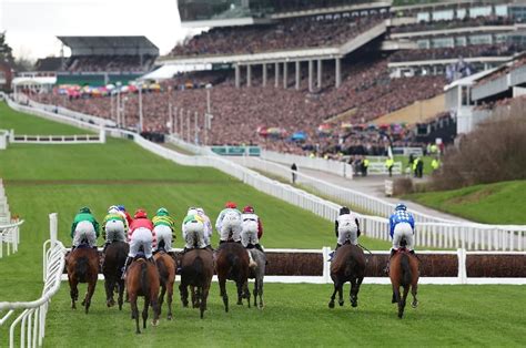 supreme novices hurdle bookmakers